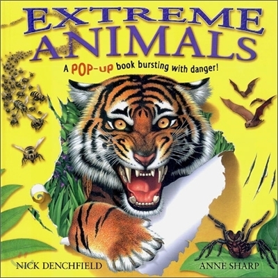 ��ǰ �̹���