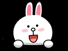 brown_and_cony-50